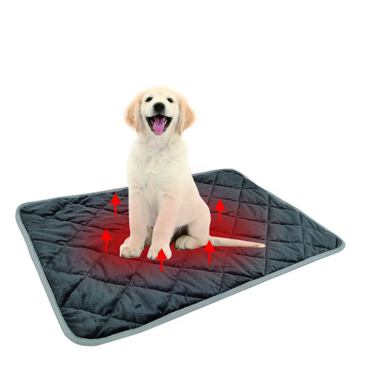 pet mat LP MEDIA